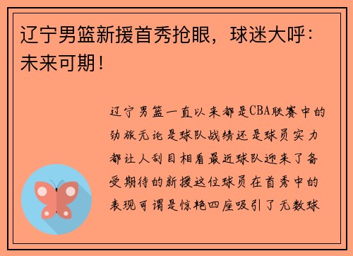 辽宁男篮新援首秀抢眼，球迷大呼：未来可期！